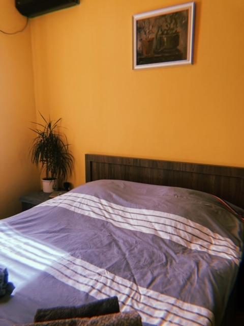 Home Away Home In Heart Of Tbilisi Exteriör bild